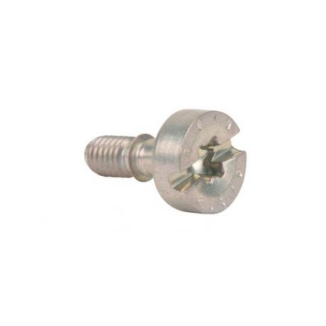 VITE A TESTA CAVA IS-M5X14