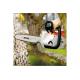 MOTOSEGA STIHL AKKU MSA160C-B BARRA CM. 30