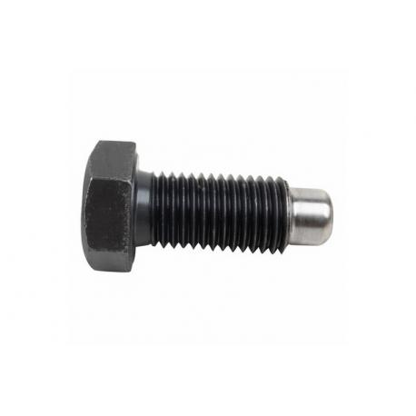 VITE FERMA SCALPELLO 20X50