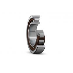 CUSCINETTO RULLI CILINDRICI NU204E -20X47X14-