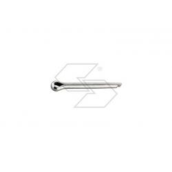 COPPIGLIA D. 3X50