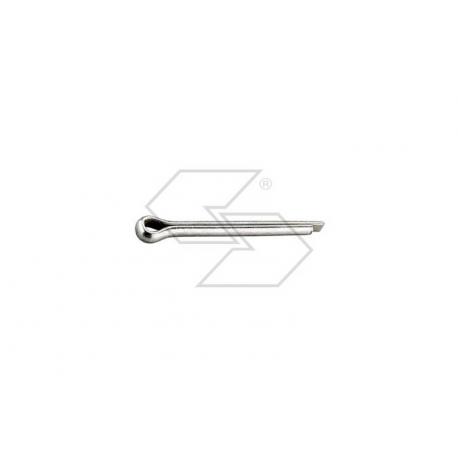 COPPIGLIA D. 3X50