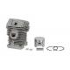 CILINDRO E PISTONE MS025