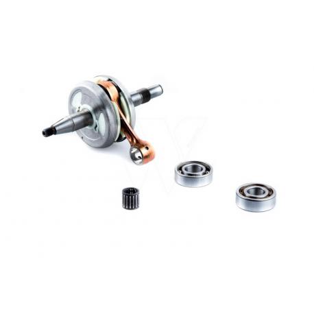 ALBERO MOTORE 576XP