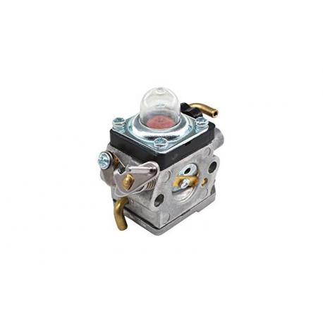 CARBURATORE (SOST.DA:596658301)