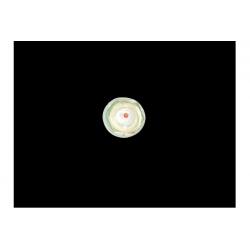 TAPPO LIVELLO OLIO VISIVO 3/8''