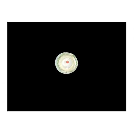 TAPPO LIVELLO OLIO VISIVO 3/8''
