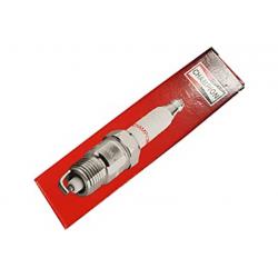 CANDELA CHAMPION D21
