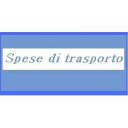 SPESE DI SPEDIZIONE E TRASPORTO